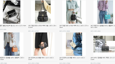 ❤️ MY DREAM BAG 샤넬 가방 종류 & 가격 총정리! 싹 다 모아봄 ✨