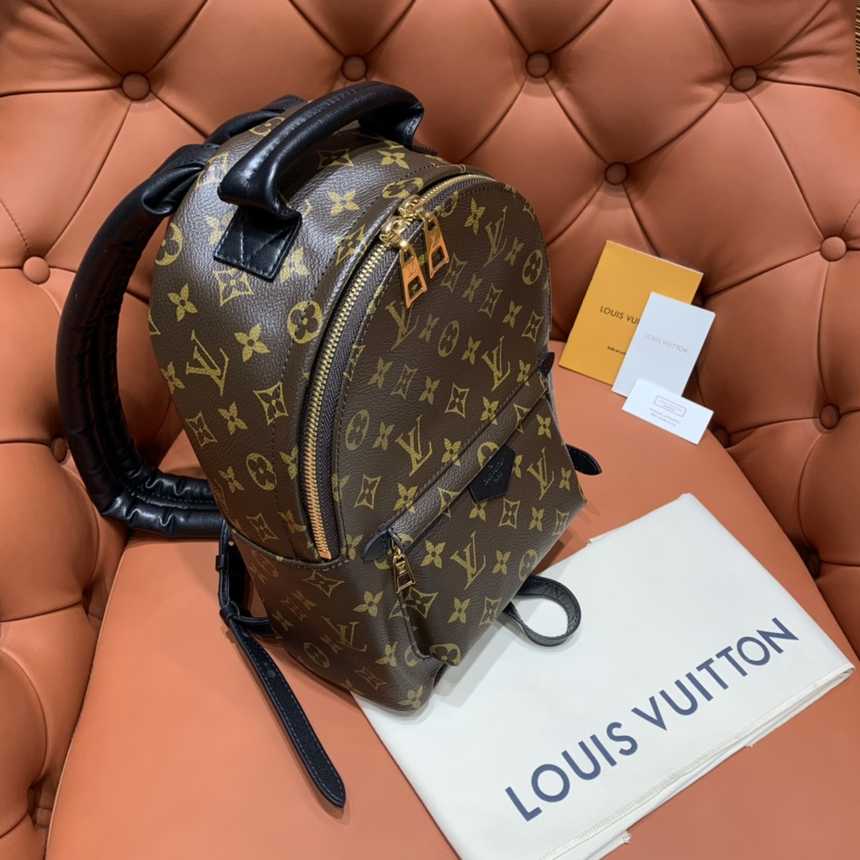루이비통 팜스프링 백팩PM M44871 | 22 x 29 x 10cm