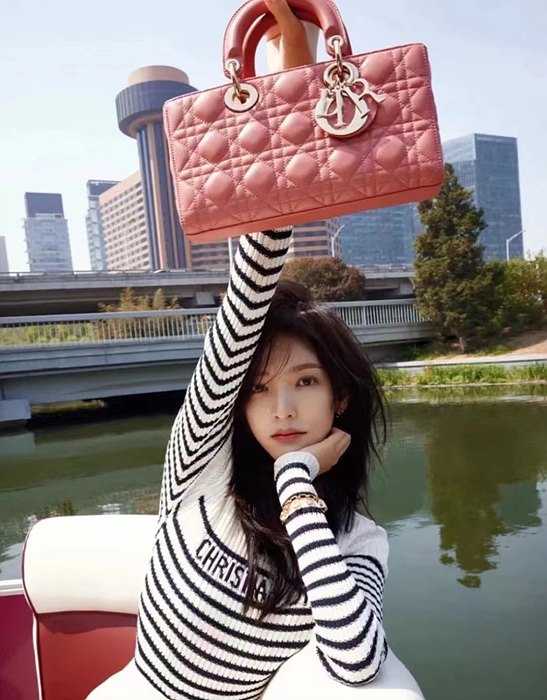 디올 cd D-joy 까나쥬 숄더백 | 26 x 13.5 x 5cm