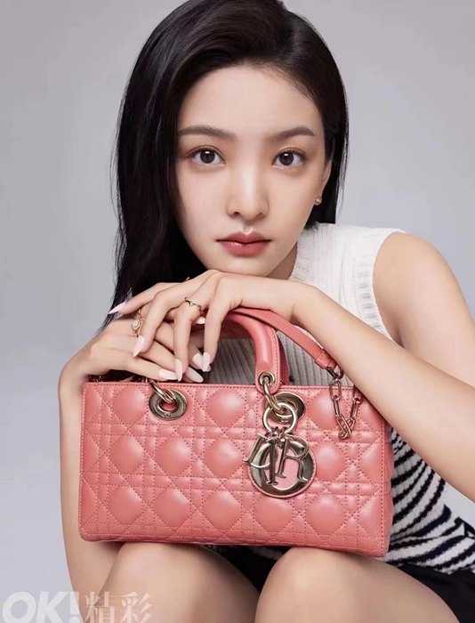 디올 cd D-joy 까나쥬 숄더백 | 26 x 13.5 x 5cm