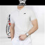 PXG 남성 스몰라인 반팔(2color)